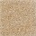 Shaw Floors: This Is It Evening Beige